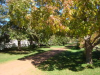 Lane Orwell Corner Historic Village in autumn